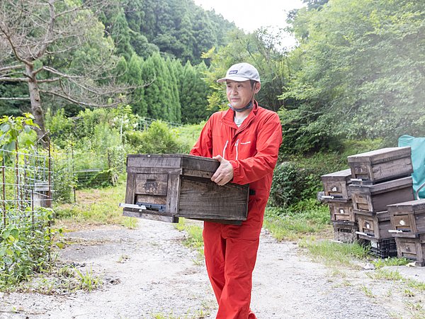 見好養蜂園の通販サイトを新規開設致しました。の画像