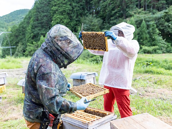 ブログ開始‼の画像