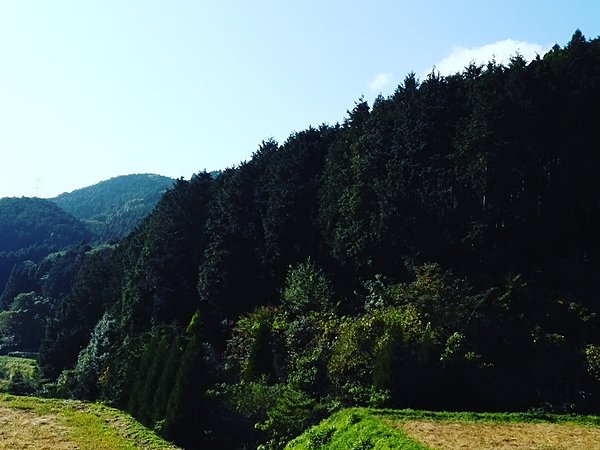 佐賀県の基山町についての画像