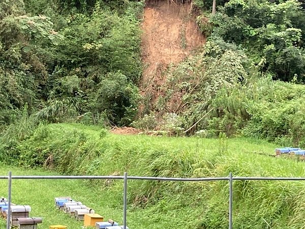 自然災害の痕跡（毎年の大雨）の画像